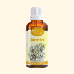 Tinktúra z pupeňov Borovica lesná (Pinus sylvestris) - Serafin